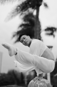 達人秀倒立舞者、柔術達人